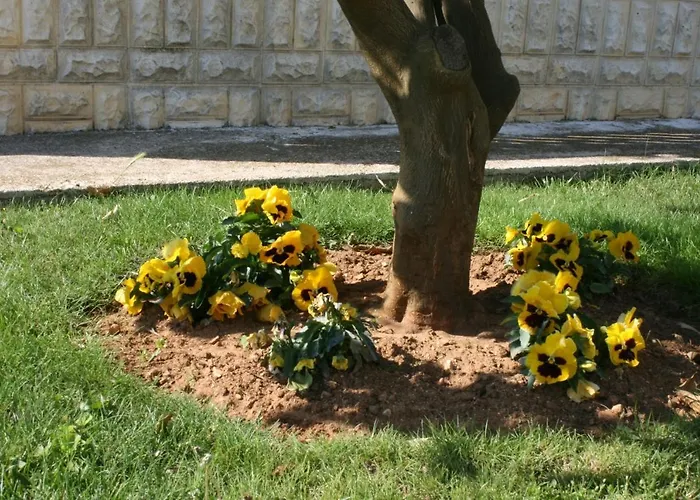 With A Parking Space Bibinje, Zadar - 6213 Apartamento *